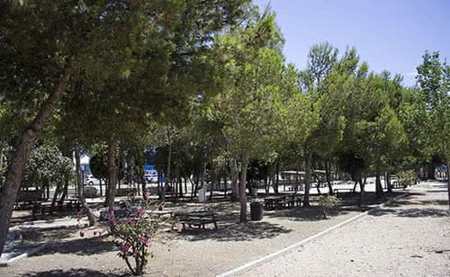 Parques en Algarrobo