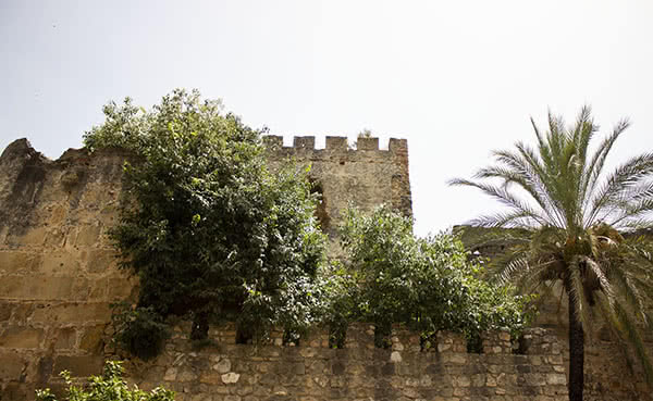 Marbella cultura: Fortaleza Alcazaba